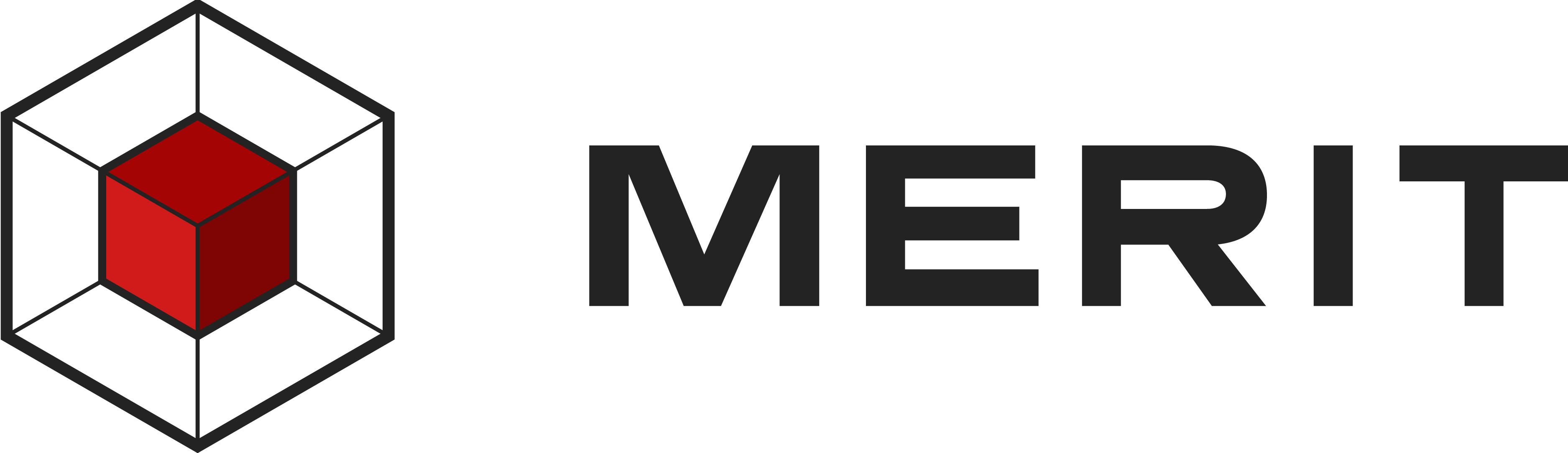 Horizontal logo for light backgrounds
